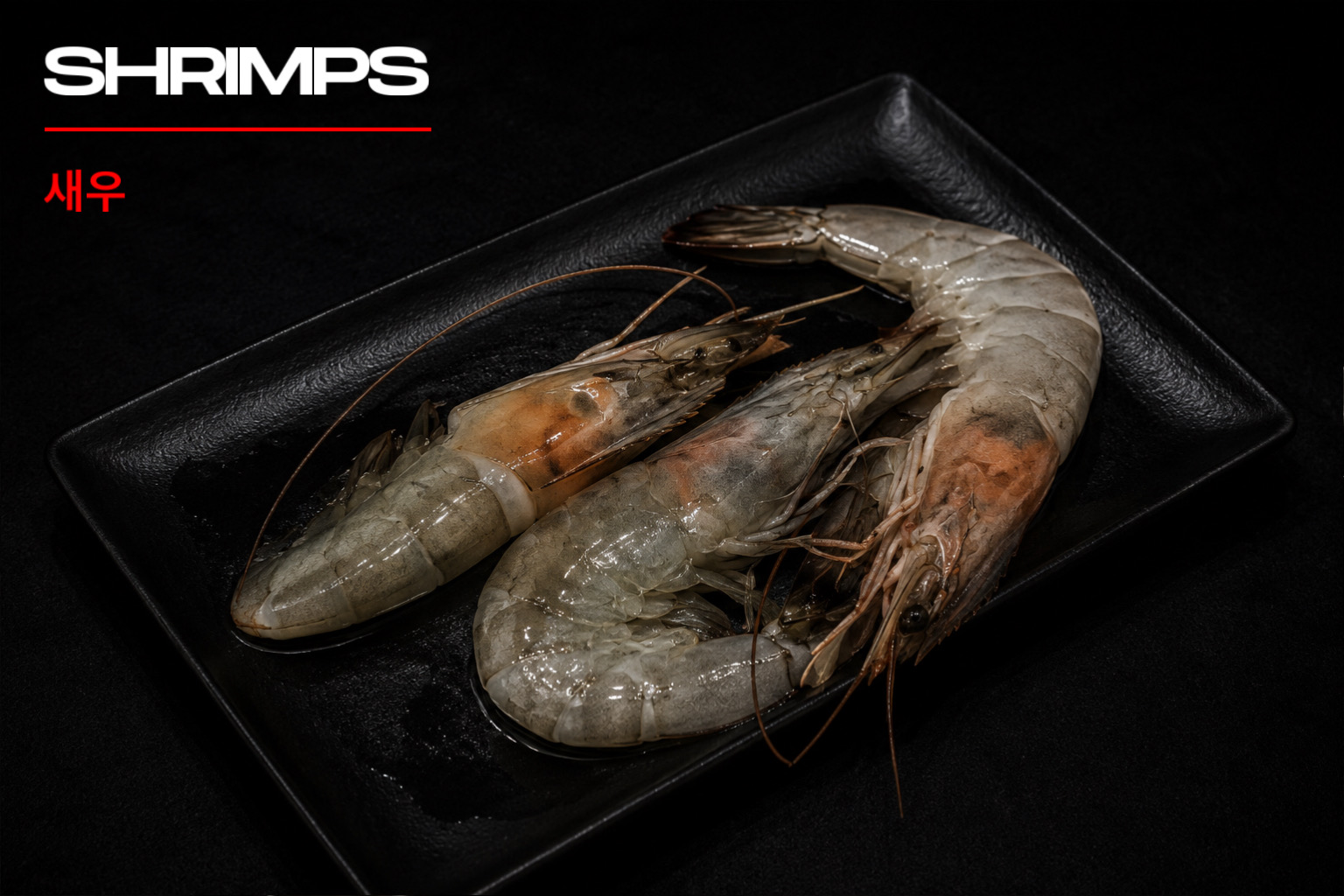 Shrimps
